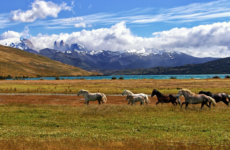 Codigos Postales de Chile